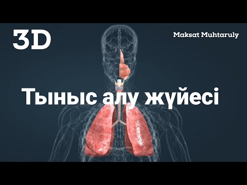 Ликра фетиш леггинстер