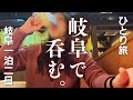 【女ひとり旅】昼から飲める街!飲んで歌って泣いて…岐阜城の階段でまた泣く