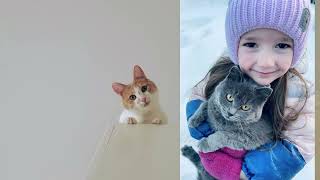 Онлайн выставка регионального фотоконкурс "Мартовский кот"