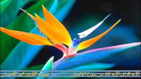 إنما نطعمكم لوجه الله - القارئ محمد اللحيدان Al luhaidan