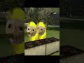 Banana cat cooking chili?/ 唐辛子を調理するバナナ猫？#shorts #gmod #bananacat