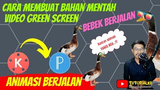 Cara Membuat Video Green Screen Bebek Berjalan,Cocok Untuk Konten Anak