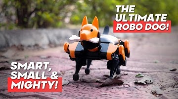 Most Advanced Robot Dog Petoi Bittle — OpenCat Programmable Robotics Kit