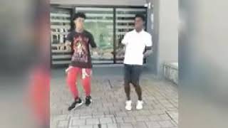 Plex plex
