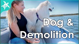 Dog moves onto boat & demolition begins! Dog moves onto boat & demolition begins!