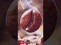 الاهيف محمود عبدالعزيز