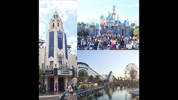 I APPLIED for DCP Spring Advantage 2017