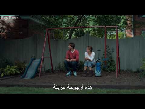 هايزل غرايس واغسطس     