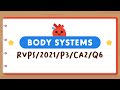Understanding Body Systems