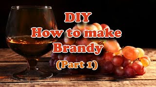 DIY How to make Brandy (Part 1)