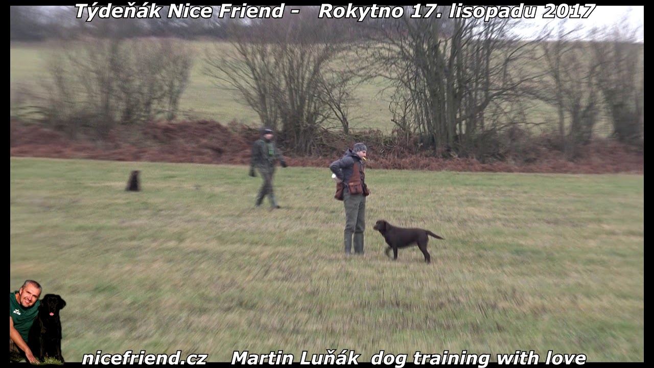 Náhled videa: handling pro pokročilé na výcvikovém víkendu.