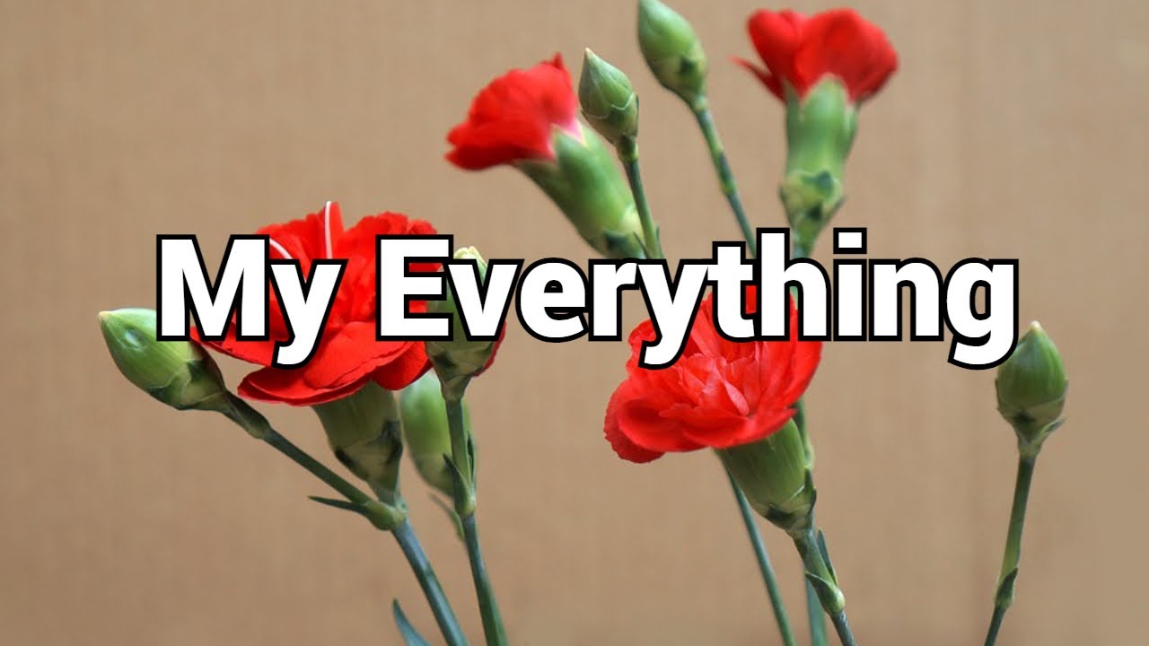 The happiest day of my life was when I found out that you also loved me/love poems/Pernia quotes