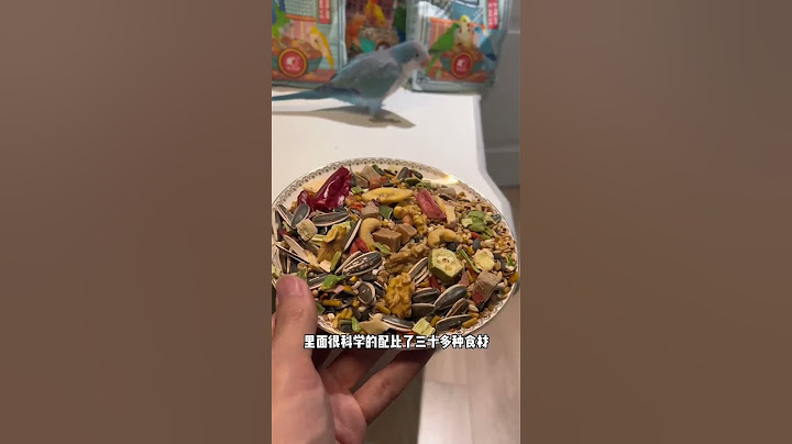 胖胖：我也不想听话，但他给的实在太多了#小鸟互动 #搞笑 #pets #birds #parrot #animals #cute #funny #治愈#shorts