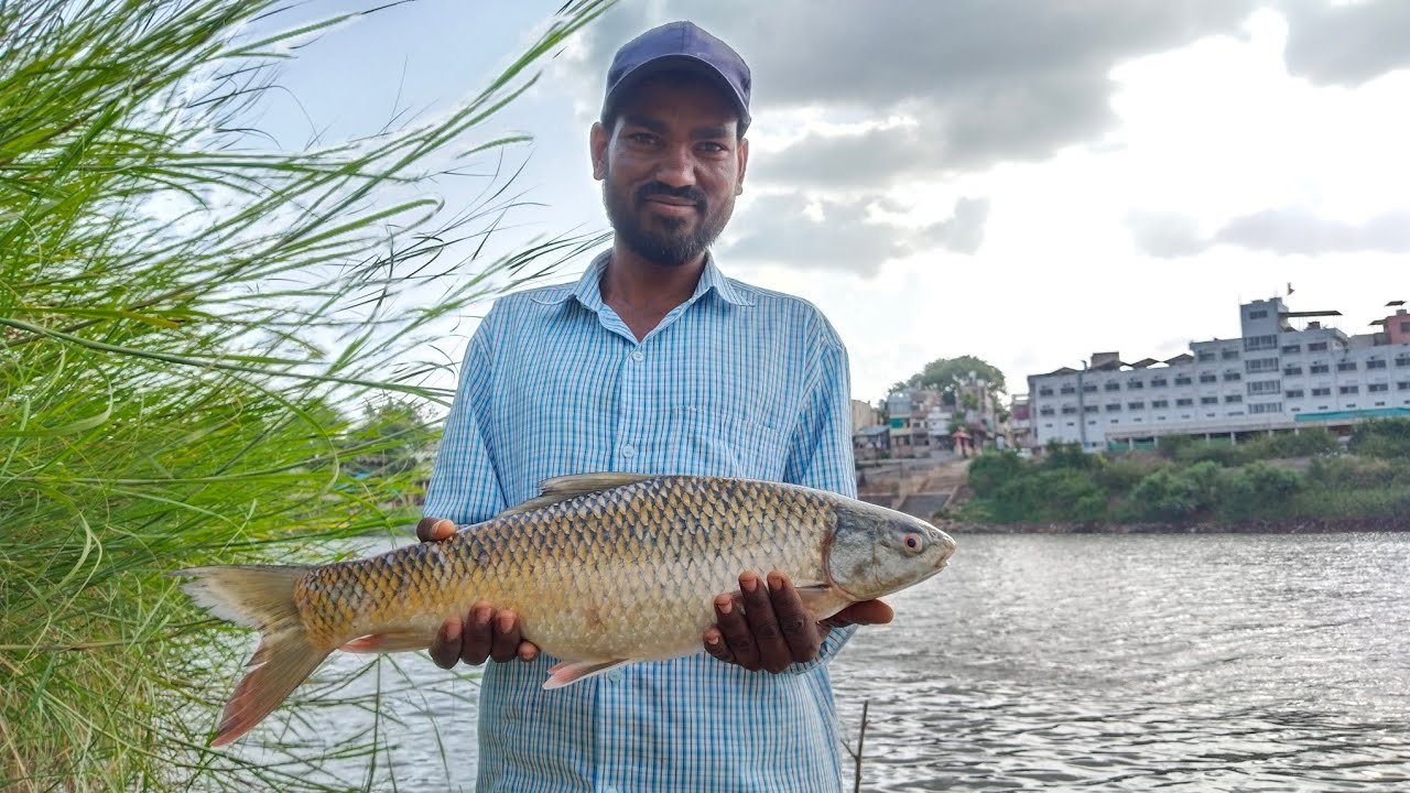 Miragal Fish 🐠🐠🐟4kg 