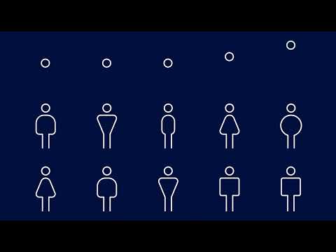 Unit 3 Animation (IBM)