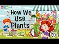 How we use plants