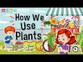 Uses and Importance of Plants