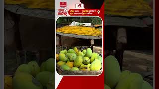 ଜନ ଅଡିଟ୍ | Jana Audit | ବିକାଶ : କେତେ ସତ,କେତେ ମିଛ !