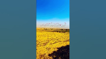 الذين آمنوا وتطمئن قلوبهم بذكر الله ألا بذكر الله تطمئن القلوب | الآية  من سورة الرعد