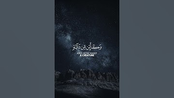 القارئ عبدالرحمن مسعد لا إله إلا الله محمد رسول الله