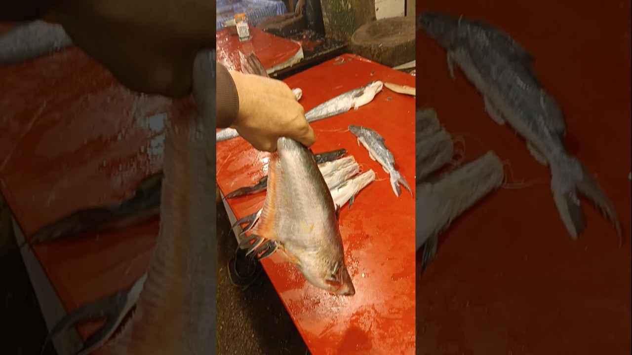 Day 58/100 Fish Pakode 😋| Subscribe Channel 😊| Fish Fry Recipe 😍| #viral #fish #recipe #trending