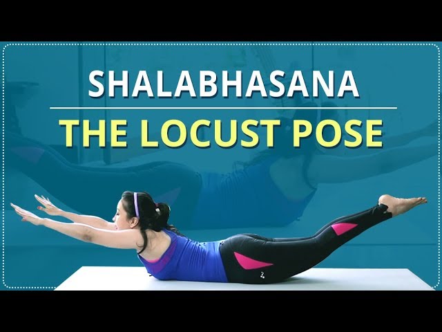 Woman Do Superman Viparita Shalabhasana Yoga Stock Vector (Royalty Free)  1847206873 | Shutterstock