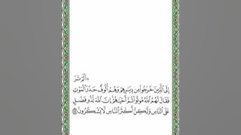 حفظ سورة البقرة (٢٤٣-٢٥٢) مجوّد بصوت الشيخ ماهر المعيقلي -مكرر-