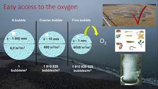 Aeration, fine bubble diffusers and oxygen transfer