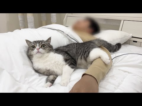 朝起きて猫を探したら、寝室で弟とこうなってました…