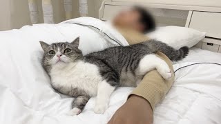 朝起きて猫を探したら、寝室で弟とこうなってました…