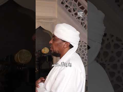 تلاوة رائعة للشيخ محمد عبد الكريم من سورة فاطر 32 38