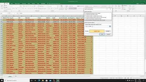 Excel Koşullu Biçimlendirme Tablodaki Tarih ve Metinleri Farklı Renk Gösterme-Conditional Formatting