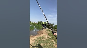 Cần câu lục siêu cứng 3,3m ngọn 4li bạo lực 20-30kg, 120m - telescopic rod #fishingrod #shorts