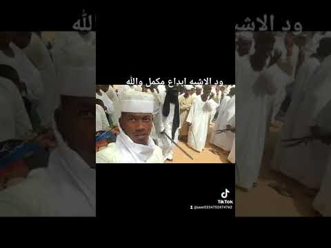 بله ودالاشبه