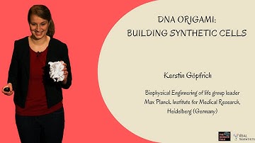 DNA Origami: Building Synthetic Cells ft. Kerstin Göpfrich | #27 Under the Microscope