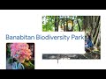 Banabitan Biodiversity Park 🏞️ Kolkata