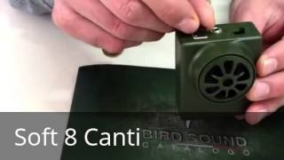 Canto Tordo Bottaccio tordo richiamo tordo  Bird Sound screenshot 5