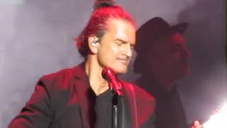 Ricardo Arjona en vivo - Hongos