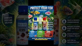 Top 3 Medicines That Can SAVE Your Fish Instantly 🐟#Shorts#youtubeshorts #Fishes#viral#fishmedicine