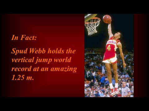 Spudweb 5’6 Spud Webb| NBA Live season mode - YouTube