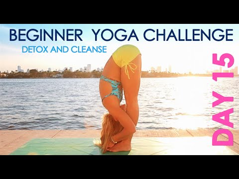 handstand atcoder Day 15 Beginner Yoga Challenge - Detox and Cleanse