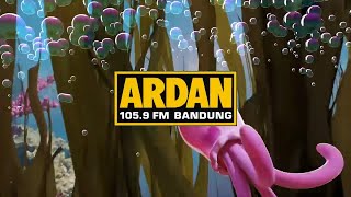 ARDAN MASHUP | JANUARI 2021