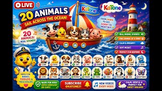 Sail Boat for Kids 🚢 20 Animal Sounds on the Sea | Learn Animals | KaTone Kids