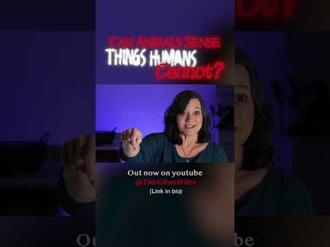 Uploads from TheGhostFiles