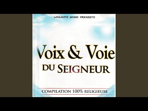 Je Suis Dans La Joie Je Suis Dans La Joie