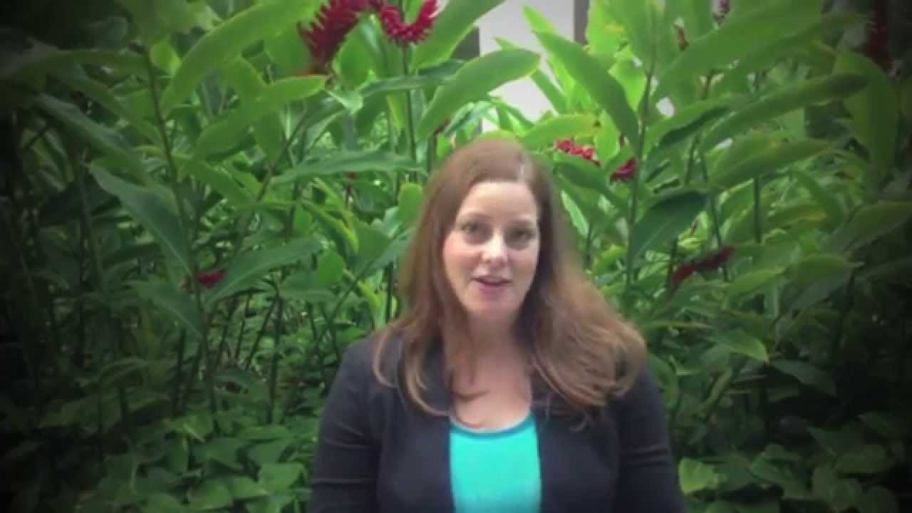 Reduce Chemotherapy Induced Nausea and Vomiting Naturally