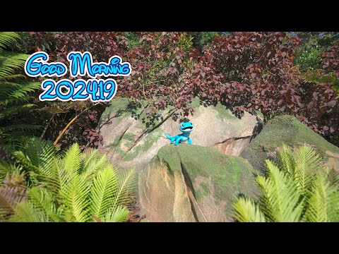 Every Morning 30sec Disney 2024.1.9