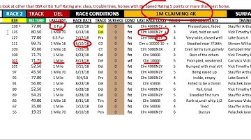 Biz Speed Rating Sheets and what we look at for Handicapping a race