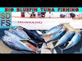 San Diego Fishing Big Bluefin Tuna | Mustang Sportfishing  | Fisherman's Landing | June 2021