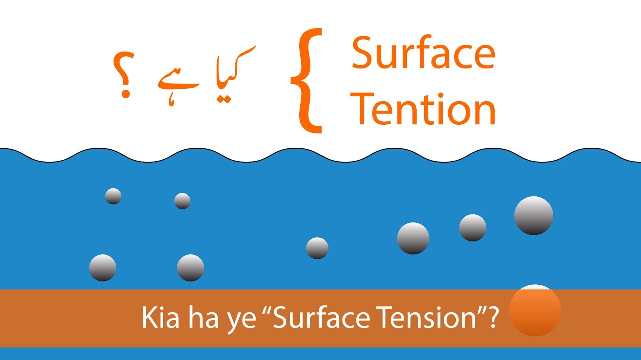Surface Tension in Urdu Hindi YouTube